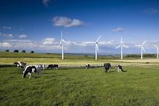 Business Sustainability Question Time