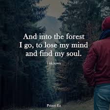 Forest Nature Quotes Short Inspirational Quotes Motivational Quotes