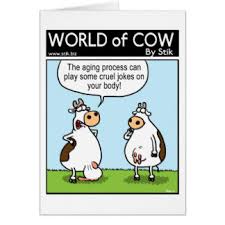 The people did some research and found that they could buy a cow from bc canada for 1,000 dollars, or one from alberta canada for 800 dollars. Birthday Cow Puns
