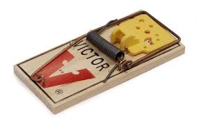 Most pest control companies offer experienced exterminators trained to use a wide range of solutions, including you do not want to discover a trapped rat several days after it's died, as decaying in the case of glue traps, you'll need to throw the entire trap out with the dead rat. Mousetrap Wikipedia