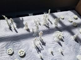 STL file 1:64 Scale figures 6 pack NO2 (summer life) gasslands or hotwheels  posers; dog, cat, guy, 3 girls・3D printable model to download・Cults