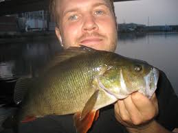 Daniel Bodin med 4 fine abborer inn i konkurransen.