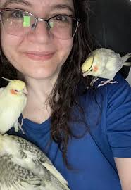 It's a bit like when you try to dry your hair without a towel. What song is  this cute cockatoo rocking out to? 🤘 🎥 Dani Griffith (@sydneycockatoos)