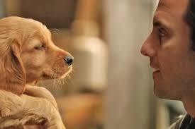 THE ART OF RACING IN THE RAIN: A Respectable Milo-Drama