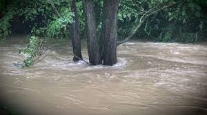 Heftige unwetter über nrw am 9.6.2014.starke regenfälle, tausende blitze, sturmböen, donner, hagel, abgeknickte äste, umgestürzte bäume, der komplette bahnve. Unwetter In Owl Sat 1 Nrw Die Infopage Zur Sendung