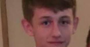 Friends desperately tried to save teenager from drowning