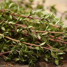 Used in cooking, dry or fresh. Old English Thyme Herbs