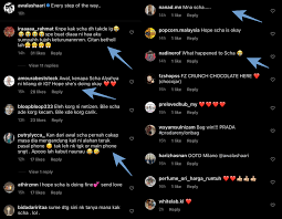 Lara alana berenang dengan singa laut. Fans Are Questioning Awal Ashaari About Scha Alyahya S Sudden Ig Deactivation Hype Malaysia