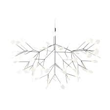 Image result for Heracleum