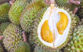 Sebelum membeli durian musang king, coba durian musang king atau di negara asalnya dikenal dengan sebutan mao shan wang yang saat itu kawasan tanah merah di kelantan malaysia sempat heboh karena pohon durian di kawasan. Malaysia Punya Durian Udang Merah Dan D24 Yang Lezat