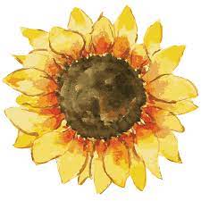 Pin By Nadia On Fondos Bonitos Watercolor Sunflower Watercolor Illustration Watercolor Paper