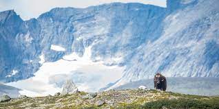 From luxury to budget hotels, with skyscanner you can compare accommodation in oppdal from all the top providers in one search. Oppdal Aktivitaten Hotels Essen Und Trinken