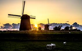 First time properly experimenting with my newly bought anamorph lens. Wallpaper Old Light Sunset Sun Holland Classic Mill Windmill Dutch Clouds Windmills Typical Mills Polder Alkmaar Nederlands Sheeps Molen Schermer Schermerhorn Inpolderen 4272x2686 982940 Hd Wallpapers Wallhere