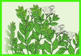 We did not find results for: Kunci Jawaban Buku Siswa Kelas 6 Tema 2 Halaman 101 102 105 106 107 Sanjayaops