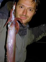 Delfine ernähren sich meist von fischen, wie zum beispiel sardellen, sardinen, heringen und so weiter. Die Kalmare Kommen Blinker