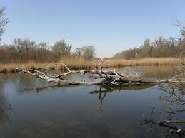 Ein breites angebot an geführten exkursionen kann gebucht werden, weiters steht im nationalparkgebiet ein gut beschildertes wegenetz für den individuellen besuch zur verfügung. Lobau In Wien Wien Lobau Erholung