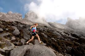 Free online calendar for 2017 year. Mountain Biodiversity 2020 International Mountain Day The International Skyrunning Federation