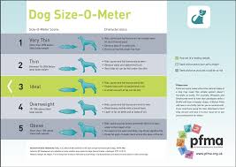 Dog Weight Chart
