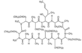 What to expect from restasis? Restasis Cyclosporine Uses Dosage Side Effects Interactions Warning
