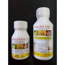 Ada juga perkataan sinonim dan berkaitan dengannya ada dipaparkan di sini. Miflex 5 Sc Fipronil 5 Racun Anai Anai Membawa Ubat Balik Ke Sarang Shopee Malaysia