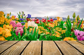 We hope you enjoy our growing collection of hd images to use as a background or home screen for your smartphone or computer. Empty Old Wooden Table With Flowers Garden Background Stock Photo Picture And Royalty Free Image Image 88369411
