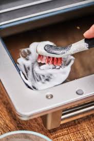 This is especially true if the toaster is not grounded properly. How To Clean A Toaster Oven Step By Step With Photos Apartment Therapy