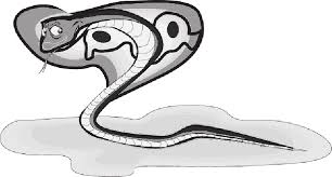 Gambar tangan hitam dan putih jari satu warna merapatkan. Mb Image Png Gambar Ular Kobra Animasi Full Size Png Download Seekpng