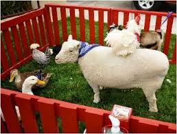 Значение petting zoo в английском. Pin By Erin Hurley On Party Ideas Zoo Animals Pets Animals