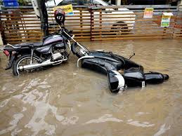 Image result for kerla flood