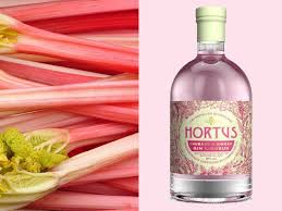 Lidl S Rhubarb And Ginger Gin Liqueur Is A Seasonal Delight Gin Kin Gin Liqueur Rhubarb Gin Rhubarb And Ginger Gin