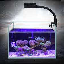 Wodwad aquarium air pumps,portable mini usb aquarium fish tank oxygen air pump mute energy save compressor. Zetlight Led Light Zn1010 1020 Aquarium Lamp 3w Mini Fish Tank Freshwater Or Seawater Led Reef Lamp Lightings Aliexpress