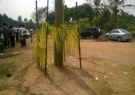 The Symbolism of Palm Frond (Omu) in Igbo Spirituality: ... || Nnewi City