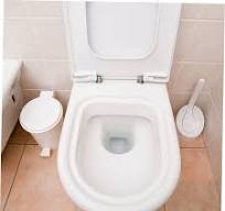 Amazon.com: Gadpiparty Quick Release Toilet Seat Hinges Easy ...