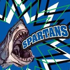 Image result for Aurora White 2010 HS