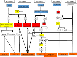 Possible causes, signs and symptoms, standard treatment options and means of care and support. Staging Systems Of Hepatocellular Carcinoma A Review Springerlink