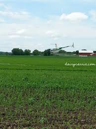 Why is there a helicopter spraying fields- Should you be worried?