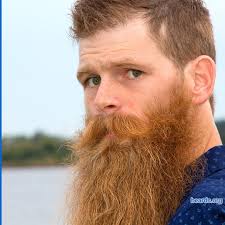 Beard Wade Beard No Mustache Red Beard Short Beard
