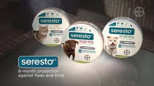 The yard, seresto® for dogs can help keep them protected from fleas and ticks for 8 continuous months. Seresto Flea And Tick Collar For Small Dogs Petco