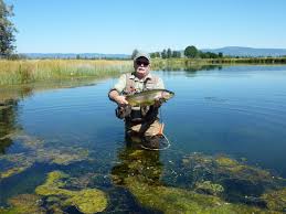 Welcome and thank you for visiting norcal fishing guides! For Sale Northern California Recreational Ranches The Land Report