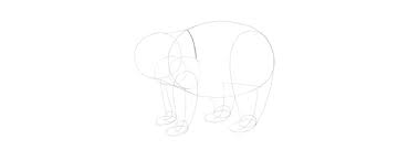 We did not find results for: How To Draw A Panda Step By Step
