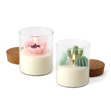 Terrarium Candle Terrarium Candle Cactus Candles Flower Candle