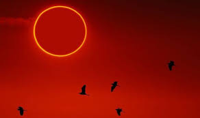 Time, location, live streaming link and more timesofindia.com | jun 10, 2021, 17:52 ist several parts of the world, including india, will witness the rare celestial phenomena. Solar Eclipse 2021 How To Watch Ring Of Fire Eclipse In Uk Today Science News Express Co Uk