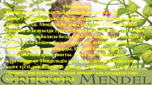 Г.мендель тұқымды сары асбұршақ өсімдігін тұқымы жасыл асбұршақпен будандастырды. G I MendeldiÒ£ ZaÒ£dary Biologiya Prezentacii