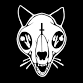 Itchy Kitty