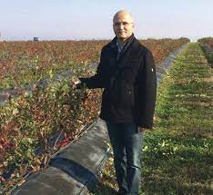 Cultura de afin afacerea profitabila povestea antreprenorului care a adus afinele la 14 km de craiova cu fonduri europene presshub. Plantatie De Afine Construita Cu Fonduri Europene La Dolj