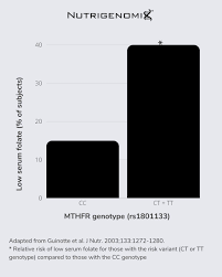 Image result for Serum Folate