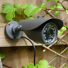 Bird box cameras are a fantastic way to get up close and personal to the birds in your garden. Rspb Garden Wildlife Camera New In Box Rrp 139 Gbp Ebay