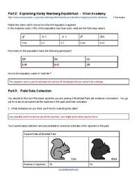 The hardy weinberg equation worksheet answers ️ solving hardy weinberg problems. Hardy Weinberg Squirrels Key By Biologycorner Tpt