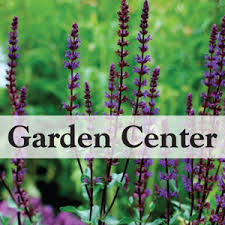 On august 27, 2021, quisitive technology solutions, inc. Home Cole Gardens
