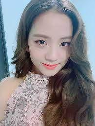 She made her debut in august 2016 as a member of the g. Jisoo Blackpink Member Family In Detail Parents And Siblings Familytron